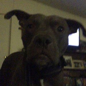 Meet your Posher, Jose